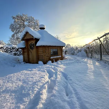 公寓 Hof Zum Stadl - Nr 1